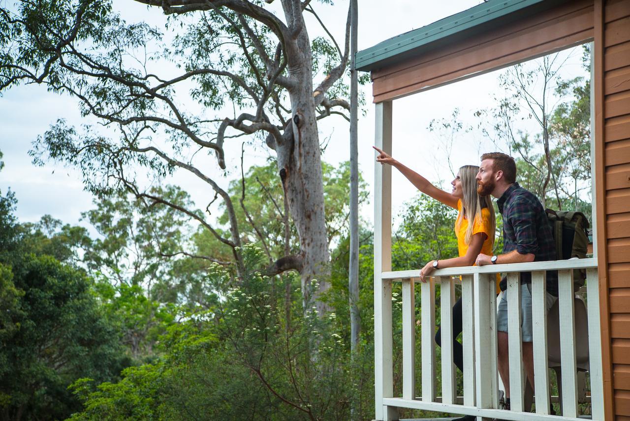 Discovery Parks - Lane Cove Sídney Exterior foto