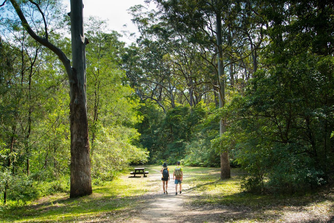 Discovery Parks - Lane Cove Sídney Exterior foto